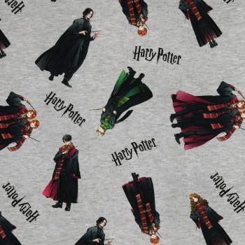 Jersey bedruckt - Harry Potter alle Figuren auf Hellgrau-meliert